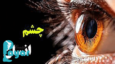 قدرت چشم انسان چند مگاپیکسل است؟ آیا می دانید