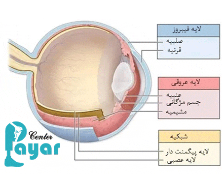 لایه های چشم به ترتیب از خارج به داخل