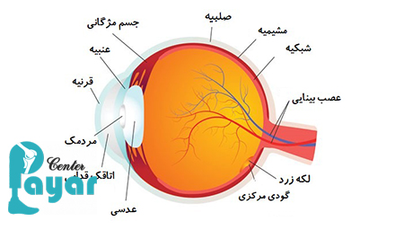 همه چیز در مورد چشم را که خوب است بدانید