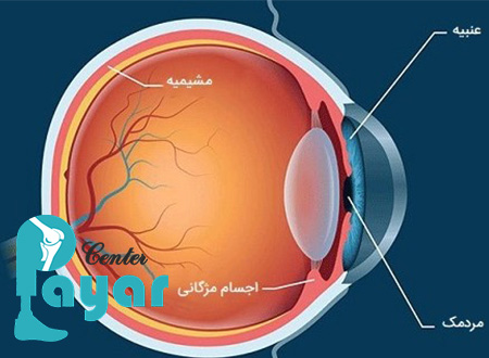 نکات مهم در مورد ساختار چشم انسان به زبان ساده