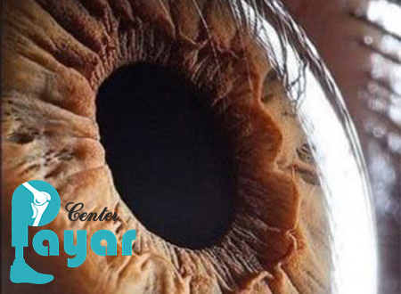 شگفتی های چشم انسان + 19 شگفتی که باید بدانید