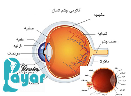 با لایه های چشم به ترتیب از خارج به داخل آشنا شوید؟